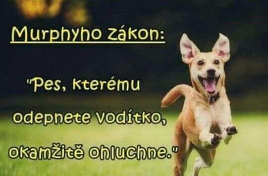 Murphyho_zákon