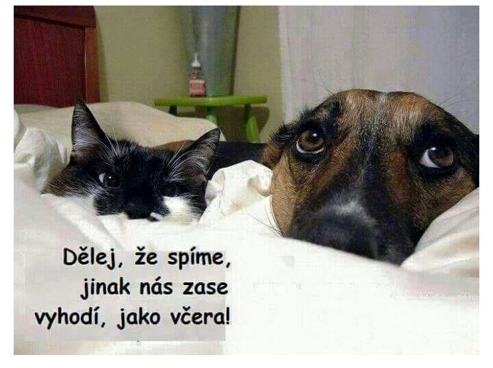 Spáči