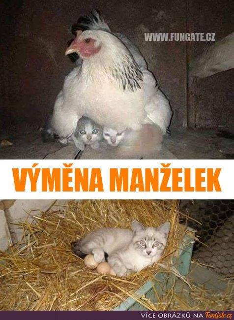 Výměna_manželek